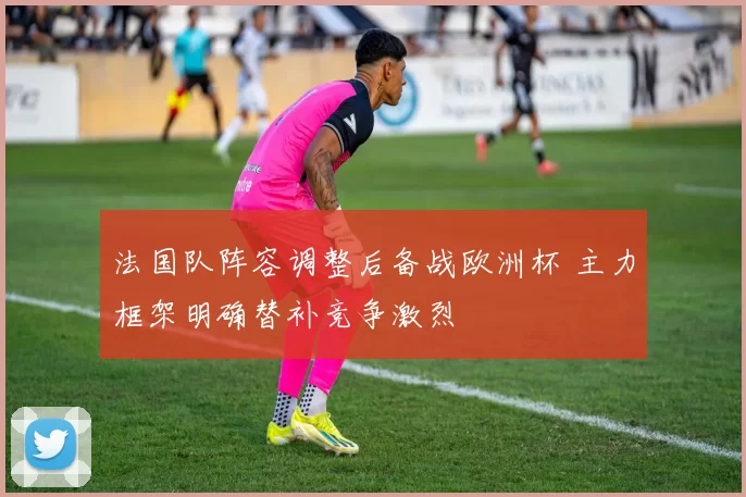 法国队阵容调整后备战欧洲杯 主力框架明确替补竞争激烈